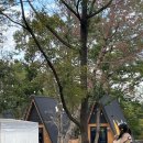 백동농장 이미지