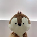와이온 | 신사역왁싱 고민 끝! 와이온뷰티 브라질리언 왁싱 솔직 후기💖
