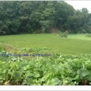 수지현진공인중개사사무소 이미지