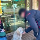 용마주유소 | [강원/속초] 25.10.19 강원도 속초 당근팀 투어