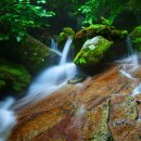 계곡풍경 이미지