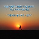 더샵짱 이미지