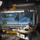 호수천연축구장 | 올랜도 여행 총정리 | 디즈니월드, 유니버셜 스튜디오, 로얄캐리비안 크루즈까지