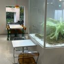 합격뽑기 | 부천 감성카페 에이프 방문 후기 카이막과 식물 뽑기까지