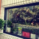 나래맛집 이미지