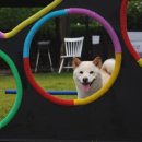 나보다 예쁘개 이미지