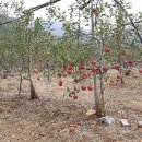 신세기공인중개사사무소 이미지