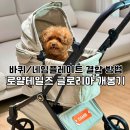 (주)로얄타이어 | 로얄테일즈 글로리아 일체형 접이식 애견유모차 언박싱 세팅 후기