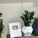 에필성형외과의원 이미지