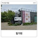 카페319 | [안성 맛집] 힐가텐 단순한 카페 그 이상, '뮤지엄 319'와 피자 맛에 반하고 온 후기
