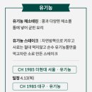 비노에이치 이미지