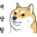 개님살롱 이미지