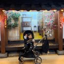 디럭스 | 내돈내산 올보르 앨빈 트라이크 디럭스 구매 후기 (구매처 정보)