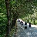 대상디앤에이 이미지