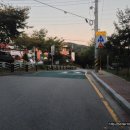 법동천 티스토리