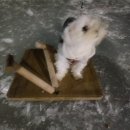 설매공원 이미지