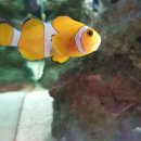 자연아놀자박물관 이미지