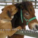 가디건과 스카프만 있으면 어디로든 갈 수 있어 with 지후선배 ★ 이미지