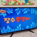 #[5월3주] 🔍장수풍뎅이 &amp; 유아체육 &amp; 유리드믹스 &amp; 실외놀이 이미지