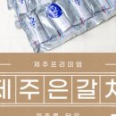 제주은갈치 이미지