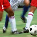 강창학체육공원 서귀포생활야구장 이미지