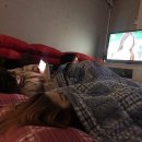 솔마루민박 이미지