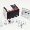 이앤에스헬스케어 이미지