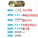 무릉열쇠 | 충칭 필수 우롱투어 (예약방법 코스 점심식사 유람선 무릉천생삼교 용수협 꿀팁 필수 준비물)
