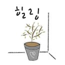 카페상촌