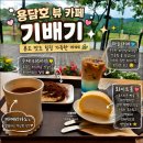 진안 용담호 뷰 카페 기배기, 죽도 절경 보고 다녀온 솔직 후기 ☕🌿