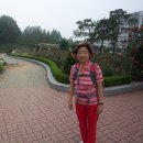 도담공원 이미지