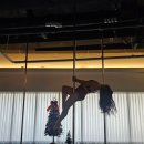 596 | 일산 폴댄스 폴린이 국화의 596회차 수업 후기 특강 미니 폴프 (쥬쥬바, P포즈)