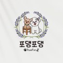 포댕포댕 이미지