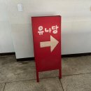 유나당 | 에그타르트, 휘낭시에 내돈내산 솔직후기 분평동 '유나당'