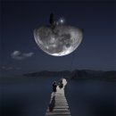 안*진 - 미추홀구 소성로 120 | 안*진