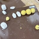 회정초등학교 이미지