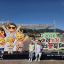 2026 의령 기강 리치 꽃 축제 / 리치리치 페스티벌 이미지