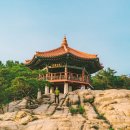 동물식물 생태체험교실 이미지