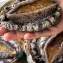 완도전복 이미지