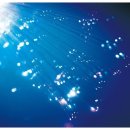 미래정보통신 이미지