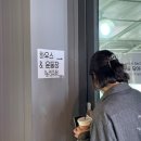 퍼피포레스트 이미지