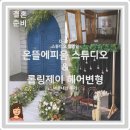 준비 D-213-②] 웨딩 촬영 배경 중심 스튜디오 &#34;온뜰에피움&#34; &amp; &#34;롤링제이&#34; 헤어변형 내돈내산 리얼 후기