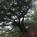 남산3리 입구 이미지