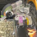 착하개 | [♡] 준콩다콩 원래는 7th 캠핑,,을 가려고 했었다.