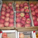 농부청과 이미지