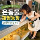 윤농장 | 가볼만한곳! 장마·여름방학 추천! 30개월 아기랑 온동물체험농장 입장료 및 솔직 후기 (시흥맘 추천)