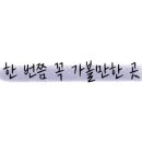세라피코 이미지
