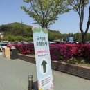 고고판다 | 에버랜드 판다월드 줄서기 꿀팁 호랑이는 무료관람 내돈내산 방문 후기 및 주차