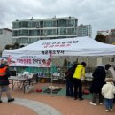 해운대소방서 이미지