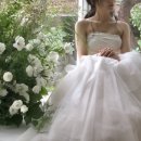 올로르플라워 Olor Flower 이미지